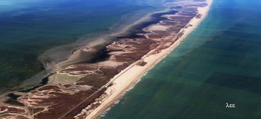South Padre Stayz South Padre Island Exterior foto